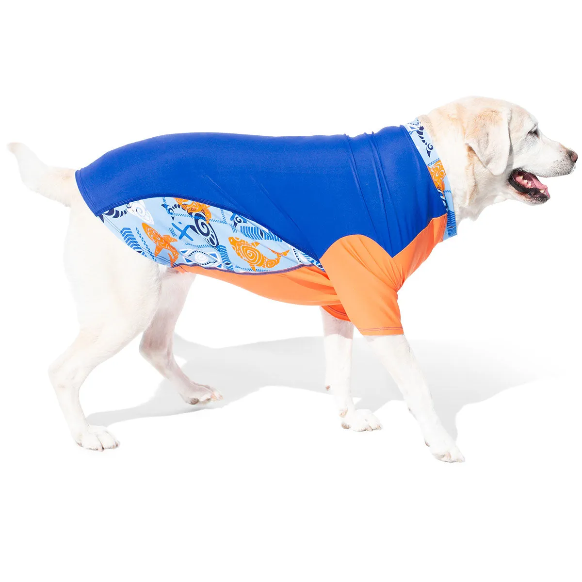 Dog Sun Shirt - Noche (Made in USA)