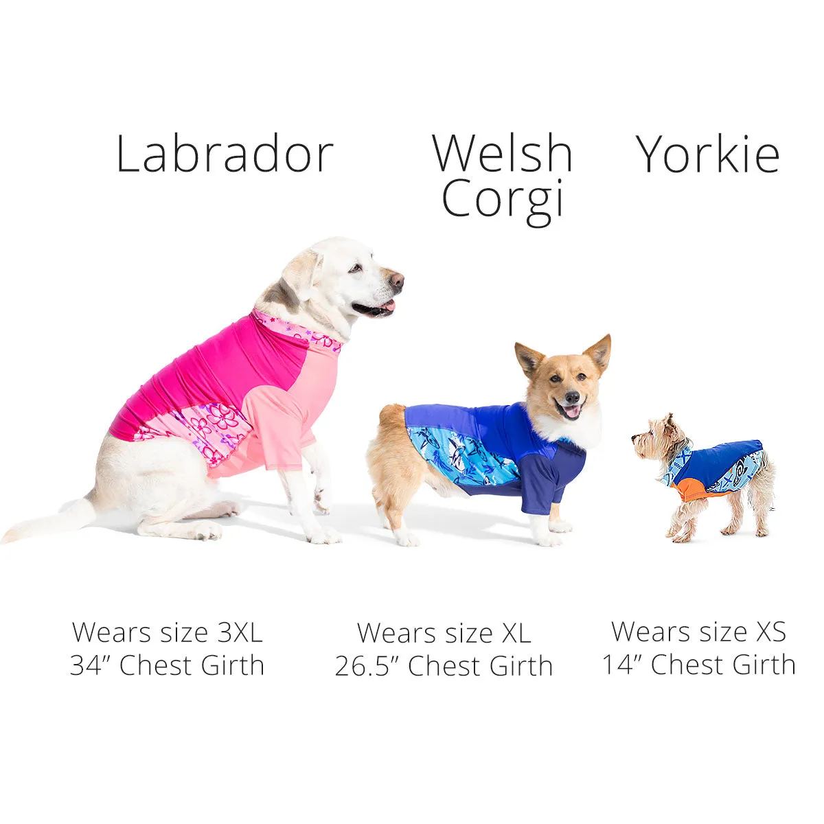 Dog Sun Shirt - Noche (Made in USA)
